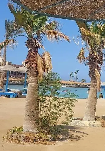 Egypt Traveler *